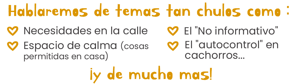 gb a6 navidad2025 blackjç